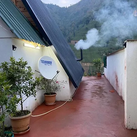 Pnr Bungalov Hotel